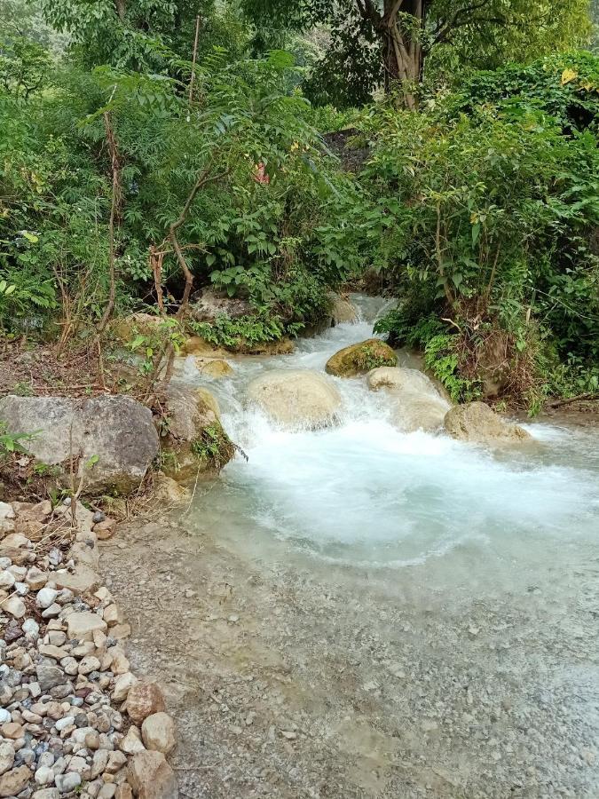 רישיקש Shivanjal Wellness And Accommodation מראה חיצוני תמונה