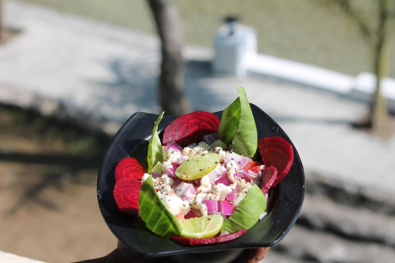 רישיקש Shivanjal Wellness And Accommodation מראה חיצוני תמונה